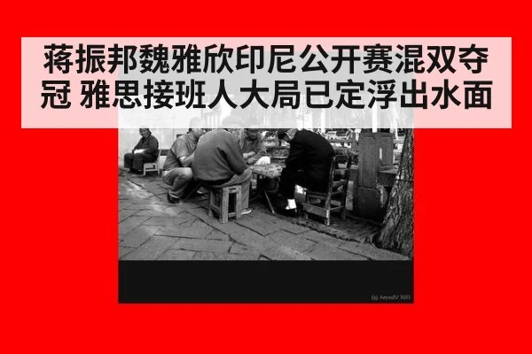 蒋振邦魏雅欣印尼公开赛混双夺冠 雅思接班人大局已定浮出水面