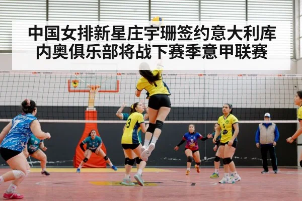 volleyball match arena